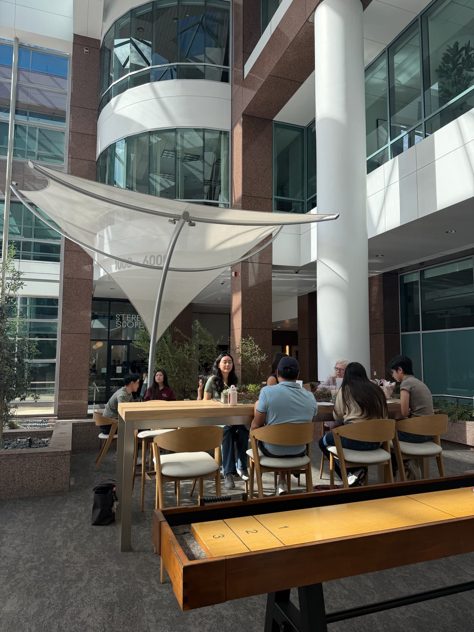 Mentors and mentees resume building